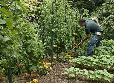 entretien-de-jardin-44-1